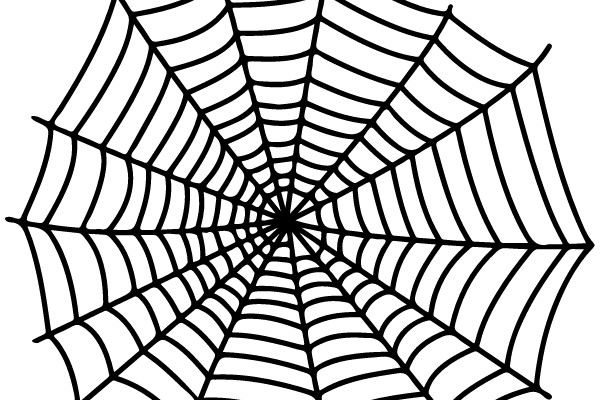 Spider Web