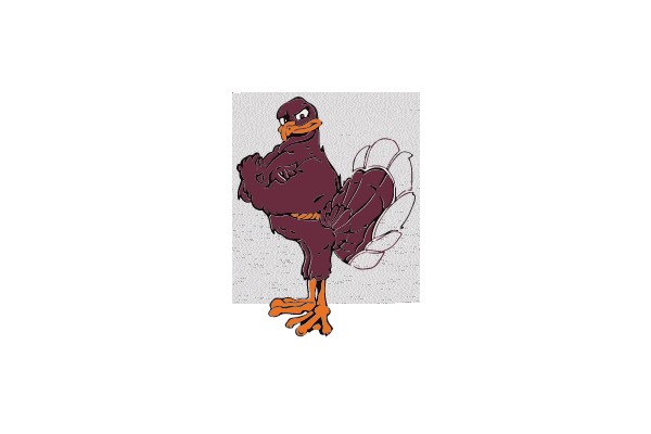 Fierce Feathered Fighter
