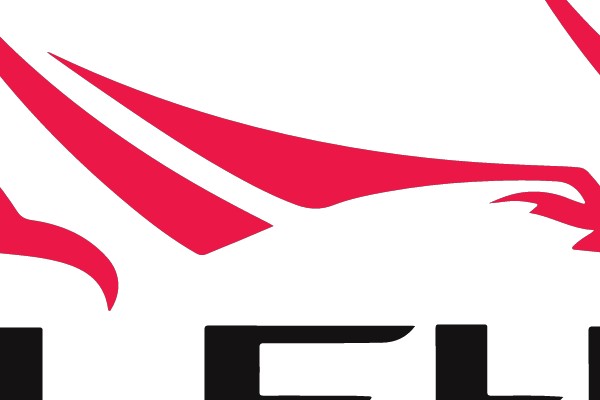FFI Logo