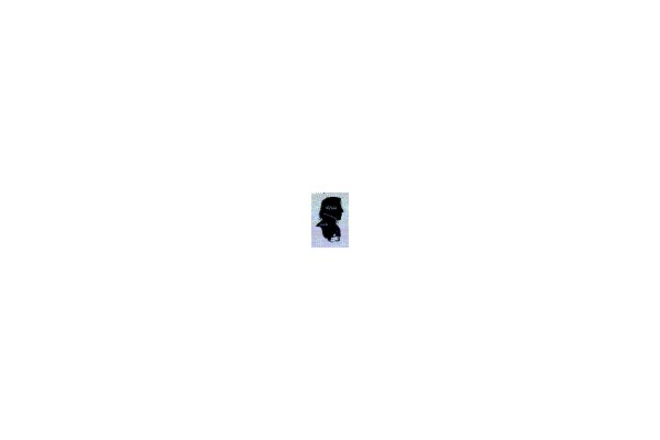 Silhouette of a Person's Head