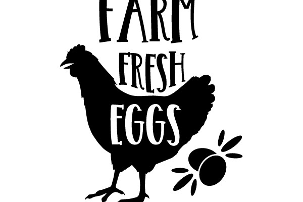 Farm Fresh Eggs