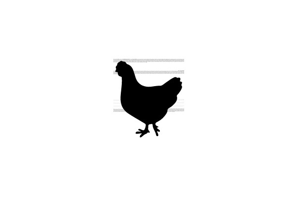 Silhouette of a Chicken