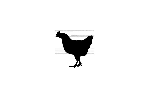 Silhouette of Chicken