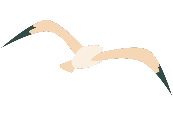 An Illustrated Flight: A Cartoon Bird in Motion
