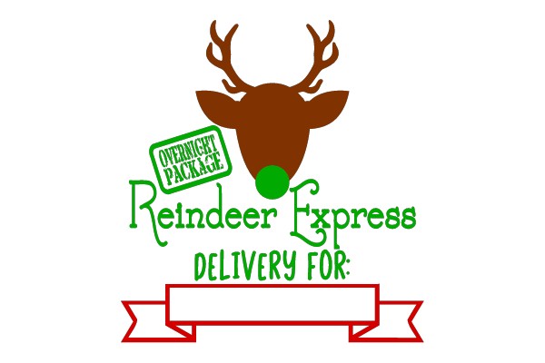 Overnight Package Reindeer Express Delivery For: