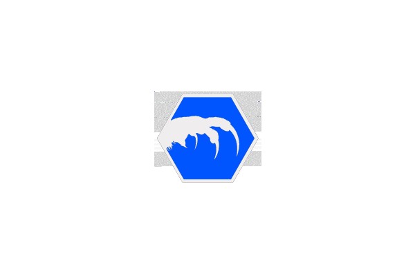 Six-Pointed Blue Symbol with White Outline