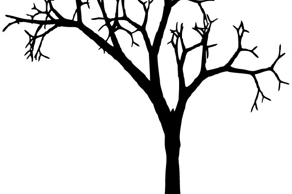 Silhouette of a Dead Tree