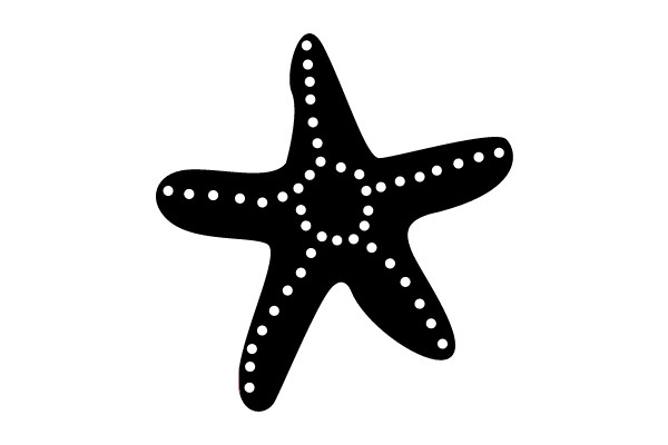 Starfish Silhouette