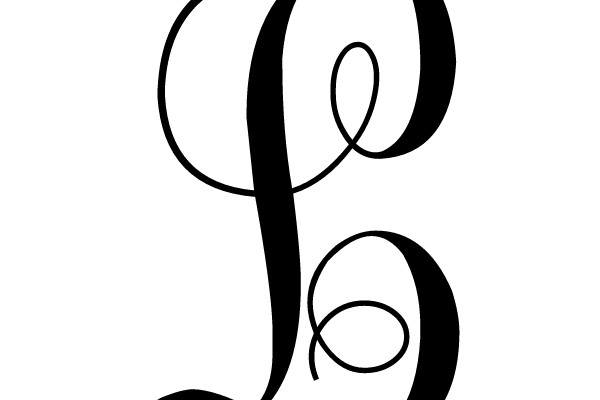 Elegant Script Font Design