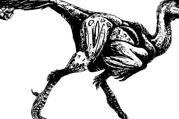 Dinosaurs in Motion