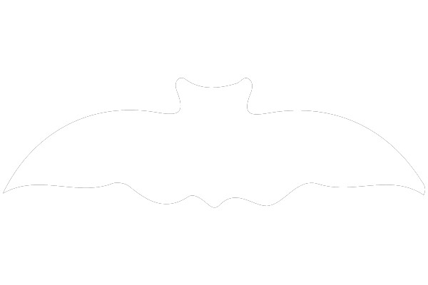 Outline of a Bat