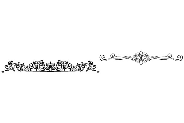 Elegant Vintage Frames and Flourish Design
