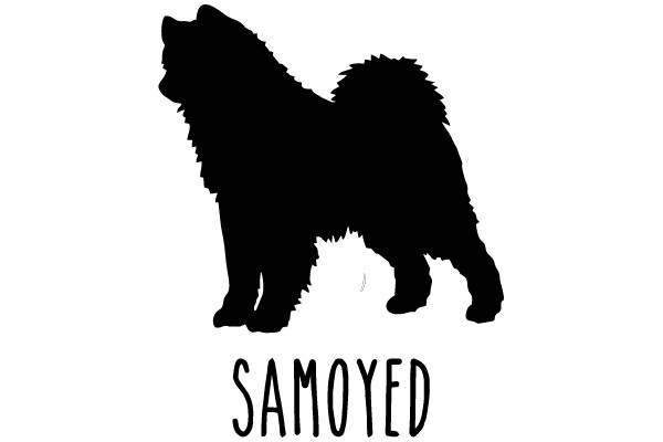 Samoyed