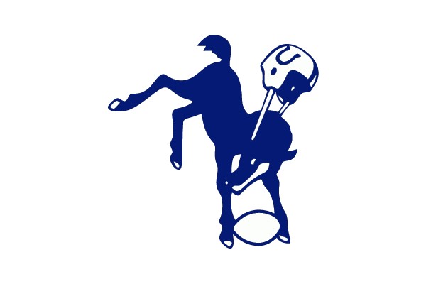 Rodeo Bull Icon