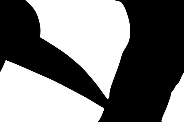 Silhouette of a Toucan