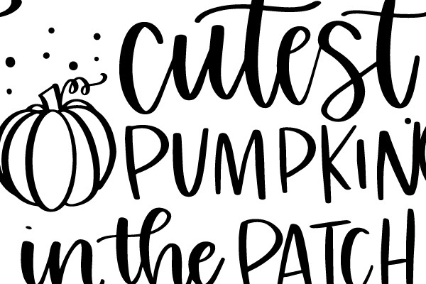 Cutest Pumpkin in the Patch