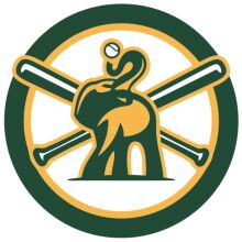 A Graphic Logo of a Baseball Player and Bat, Enclosed in a Circle with a Yellow and Green Color Scheme.