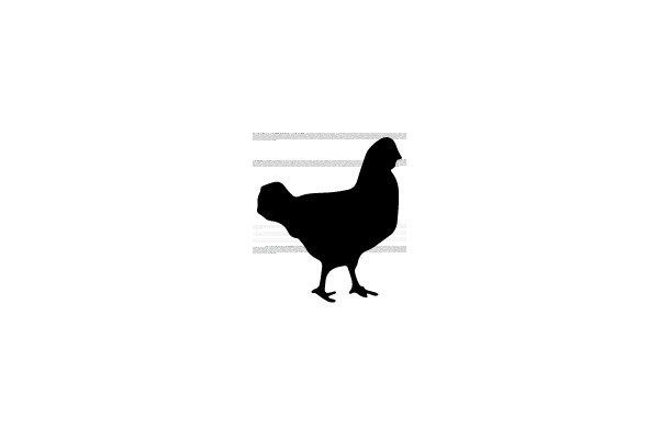 Silhouette of a Poultry Bird.