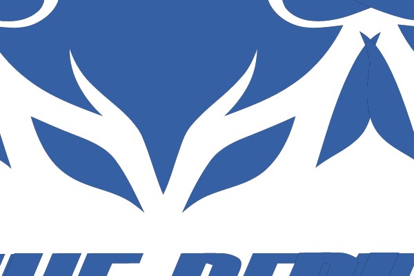 BLUE DEVIL