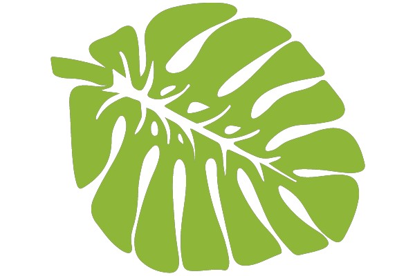Tropical Monstera Leaf