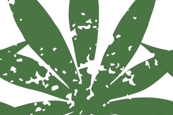 Marijuana Leaf Symbol
