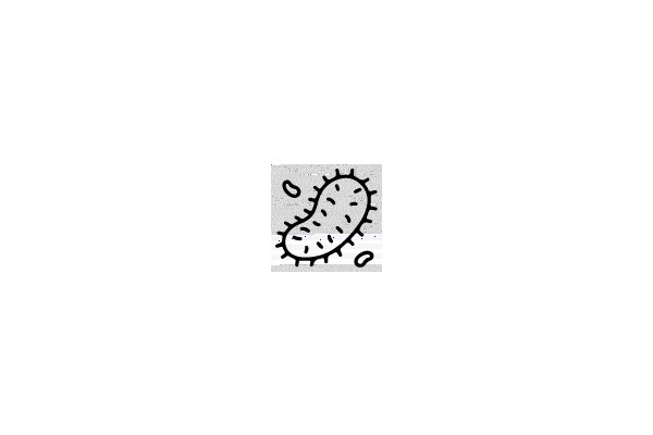 Bacteria Cell Diagram