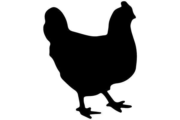 Silhouette of a Chicken