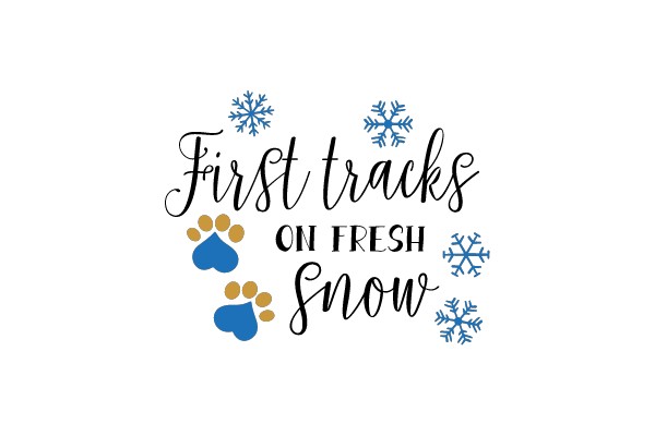 First Tracks on Fresh Snow