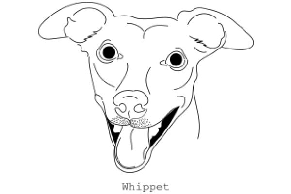Whippet: ADog's Face