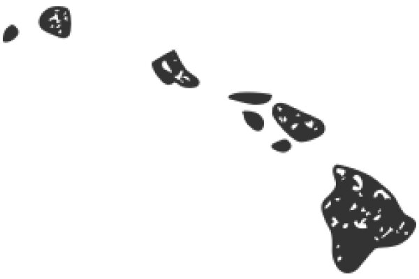 A Silhouette of a Fish and a Bird in Flight, Set Against a White Background