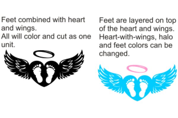 A Journey of Transformation: From Feet to Wings