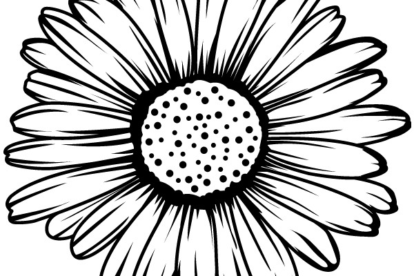 Stylized Daisy Flower