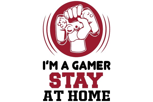 I'm a Gamer Stay at Home