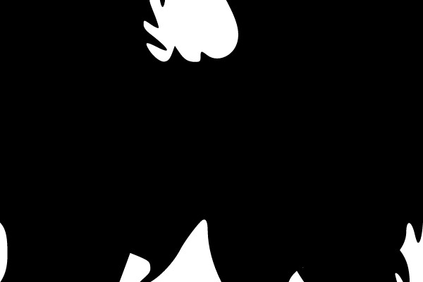 Yin Yang Dragon Symbol