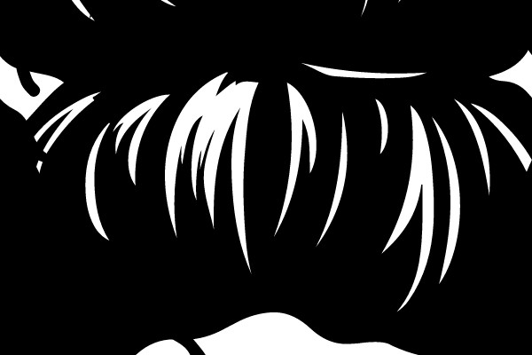 Stylized Portrait of a Woman's Hair and Shoulder