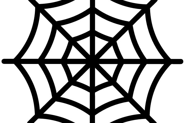 Spider Web Diagram