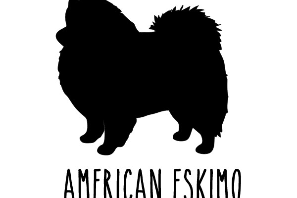 American Eskimo