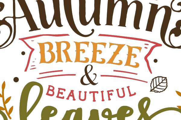 Autumn Breeze & Beautiful Leaves