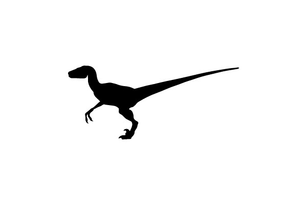 Silhouette of a Dinosaurs