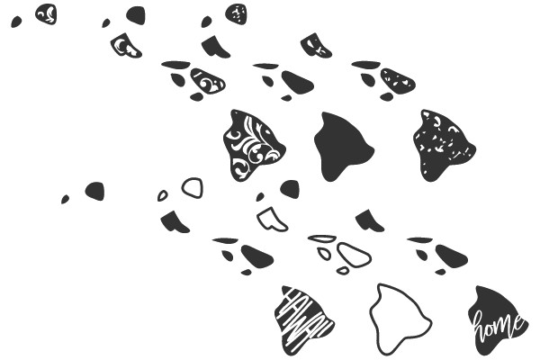 Islands of Imagination