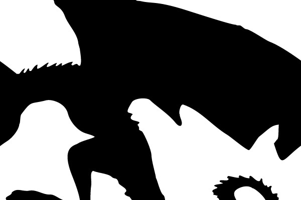 Silhouette of a Chameleon