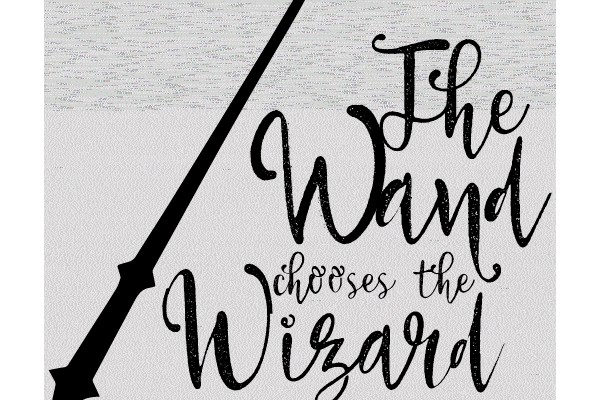 The Wand chooses the Wizard