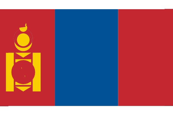 Vibrant Flag with Symbolic Designs