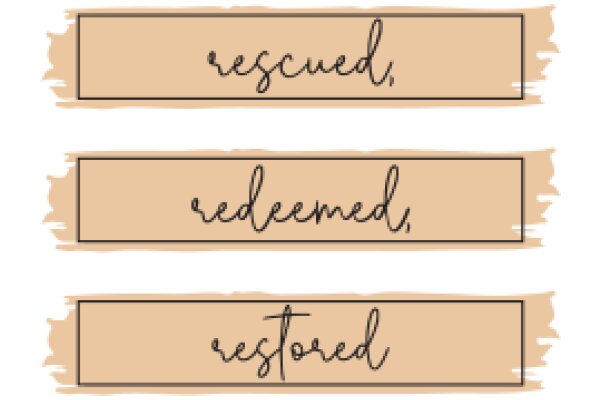 Three Rectangular Banners with Handwritten Text