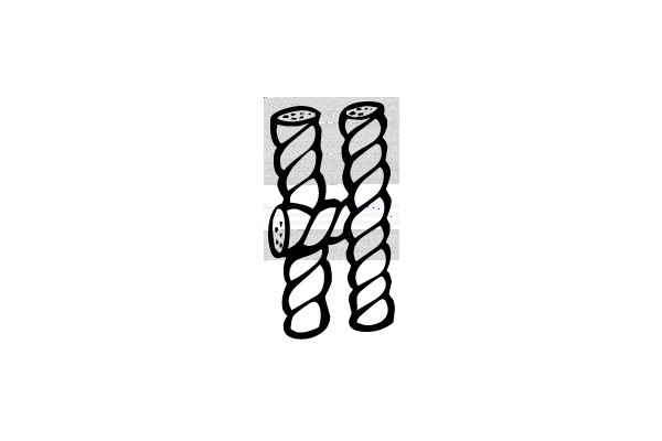 Symmetrical Twisted Shapes