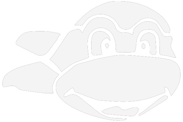 Heroic Half-Shell Heroes: Ninja Turtle Bundle