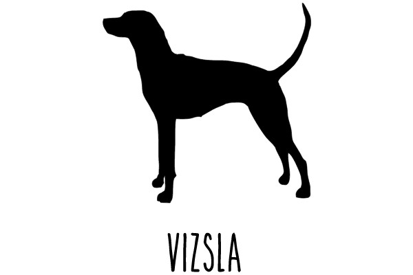Vizsla Silhouette