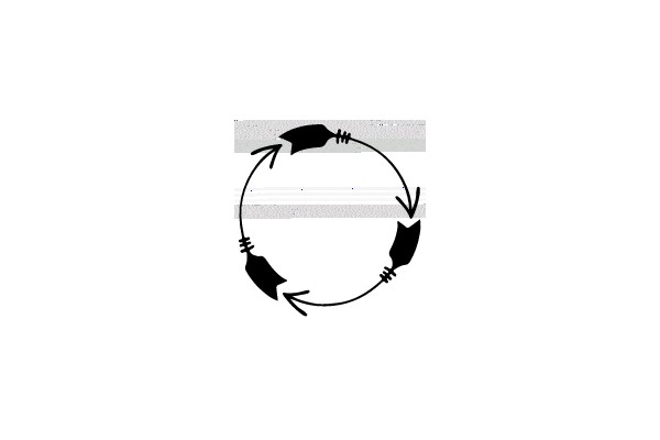 Circular Arrow Diagram with Gray Band