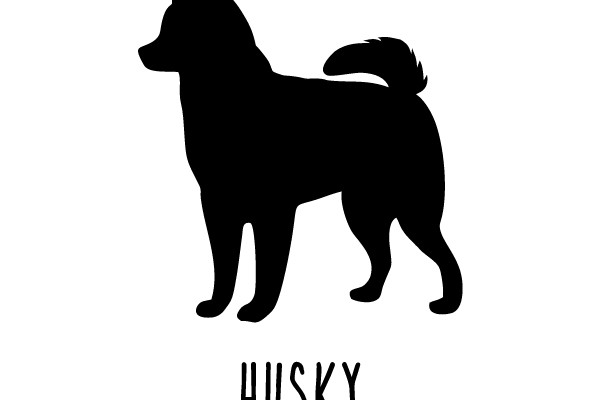 Husky