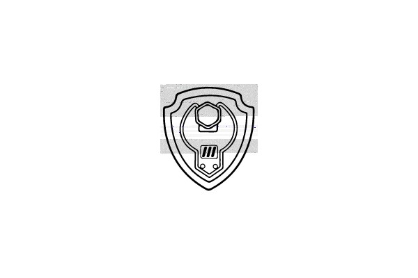 Shield Emblem: Symbolizing Protection and Power